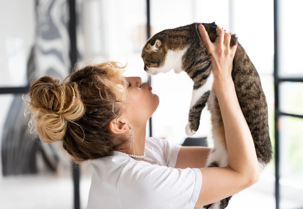 best smart pet camera