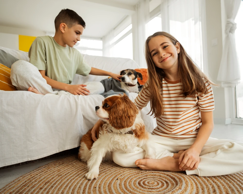 automatic pet feeding system